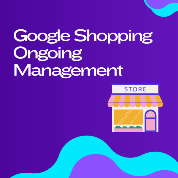 Google Shopping Ongoing Management